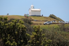 IMG_9784_Tacking Point (Custom)