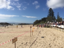 Beach Scene (1) (Small)